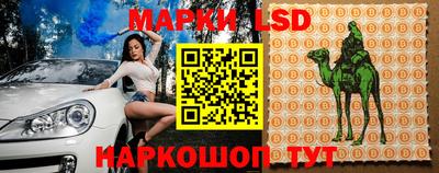 ПСИЛОЦИБИНОВЫЕ ГРИБЫ Будённовск